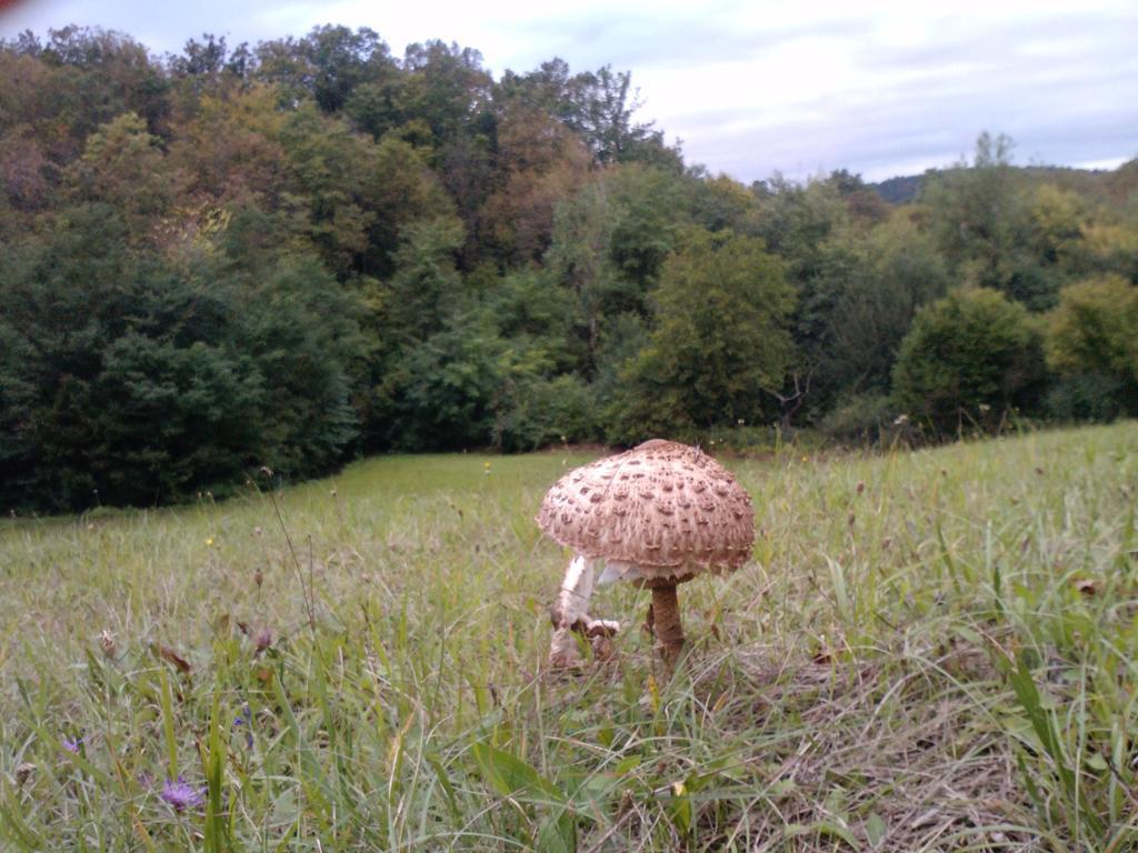 Osterija Na Planinci Divača Exterior foto