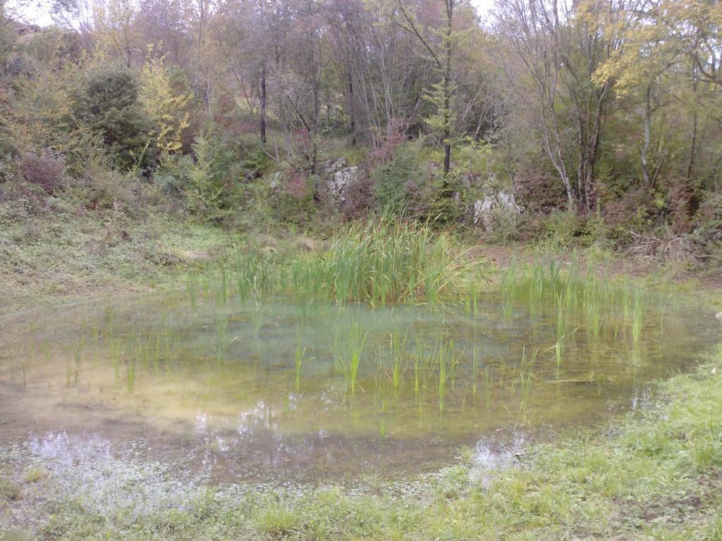 Osterija Na Planinci Divača Exterior foto
